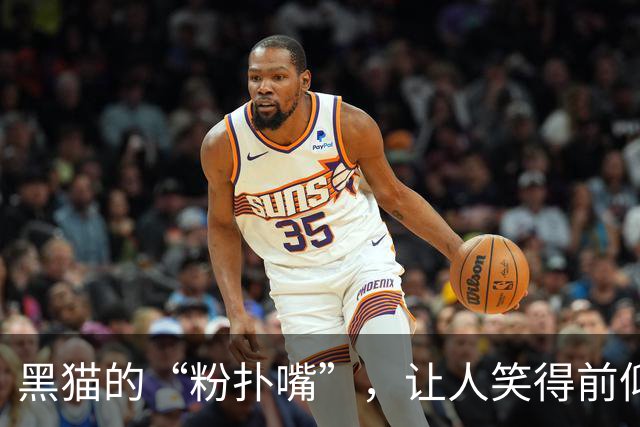 黑猫的“粉扑嘴”，让人笑得前仰后合！